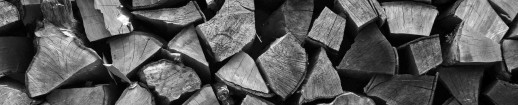 Firewood stacked up to dry showing annual rings